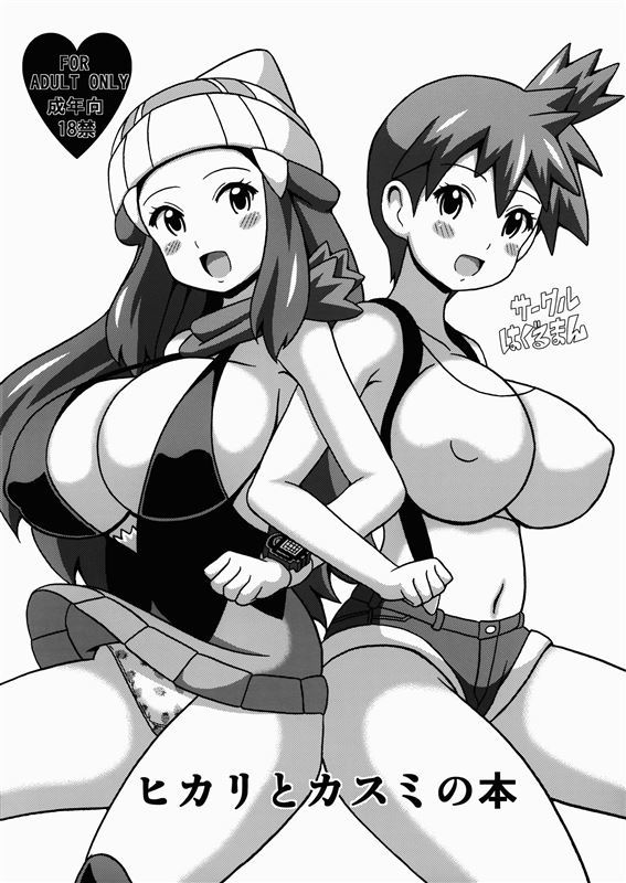 Koutarosu Hikari to Kasumi no Hon Pokemon vol 2