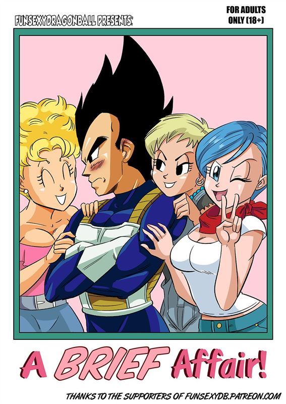 Funsexydragonball A Brief Affair Ongoing