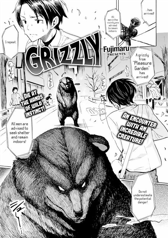 Fujimaru – Grizzly