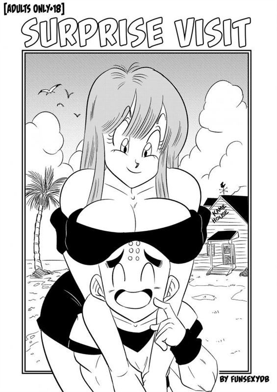 FunsexyDB – Surprise Visit (Dragon Ball Z) Ongoing