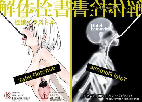 Kaitai Sensho Plug Anatomy Book