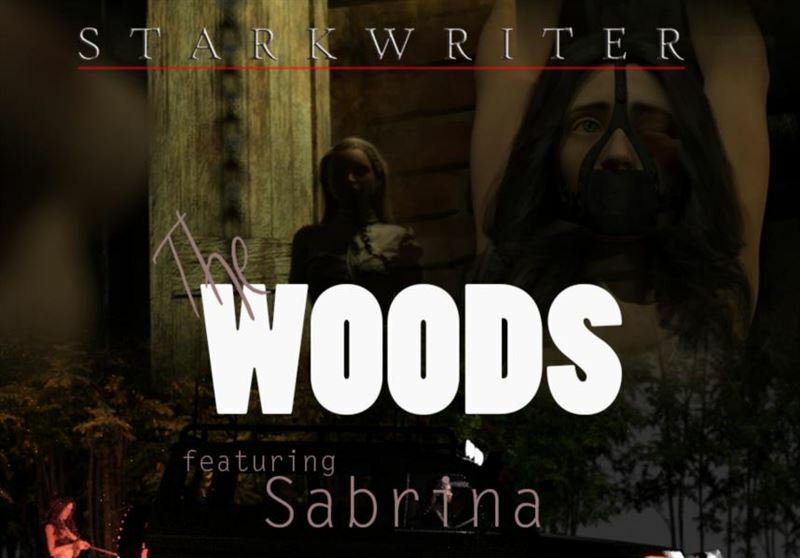 Starkwriter – The Woods