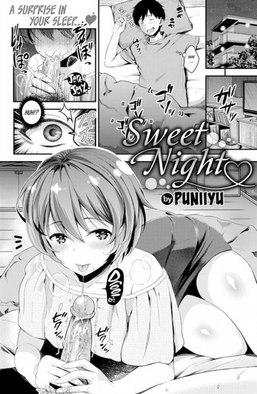 Puniiyu - Sweet Night