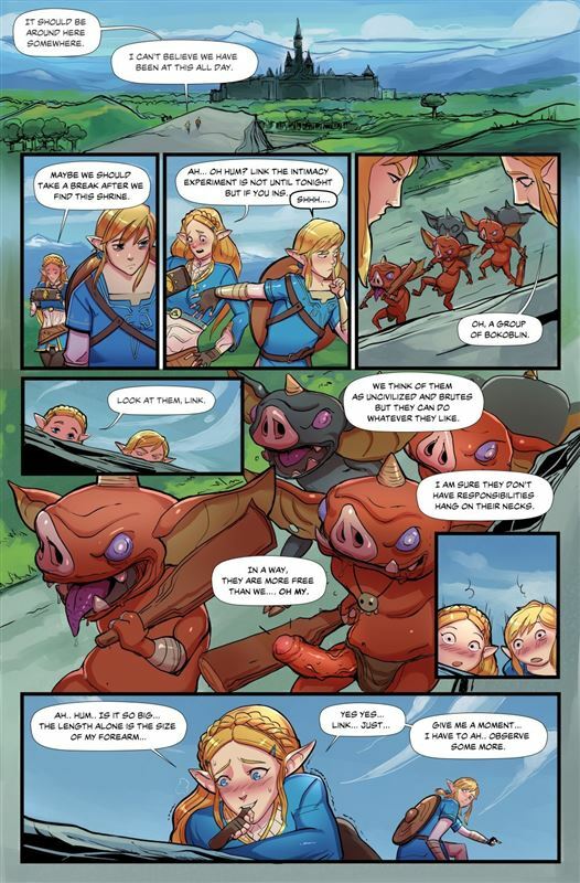 Disclaimer The Legend of Zelda Breath of Bokoblin Cock (ongoing)
