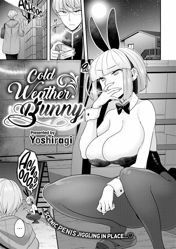 Yoshiragi – Cold Weather Bunny