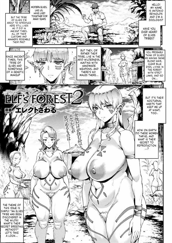 Elf’s Forest 2
